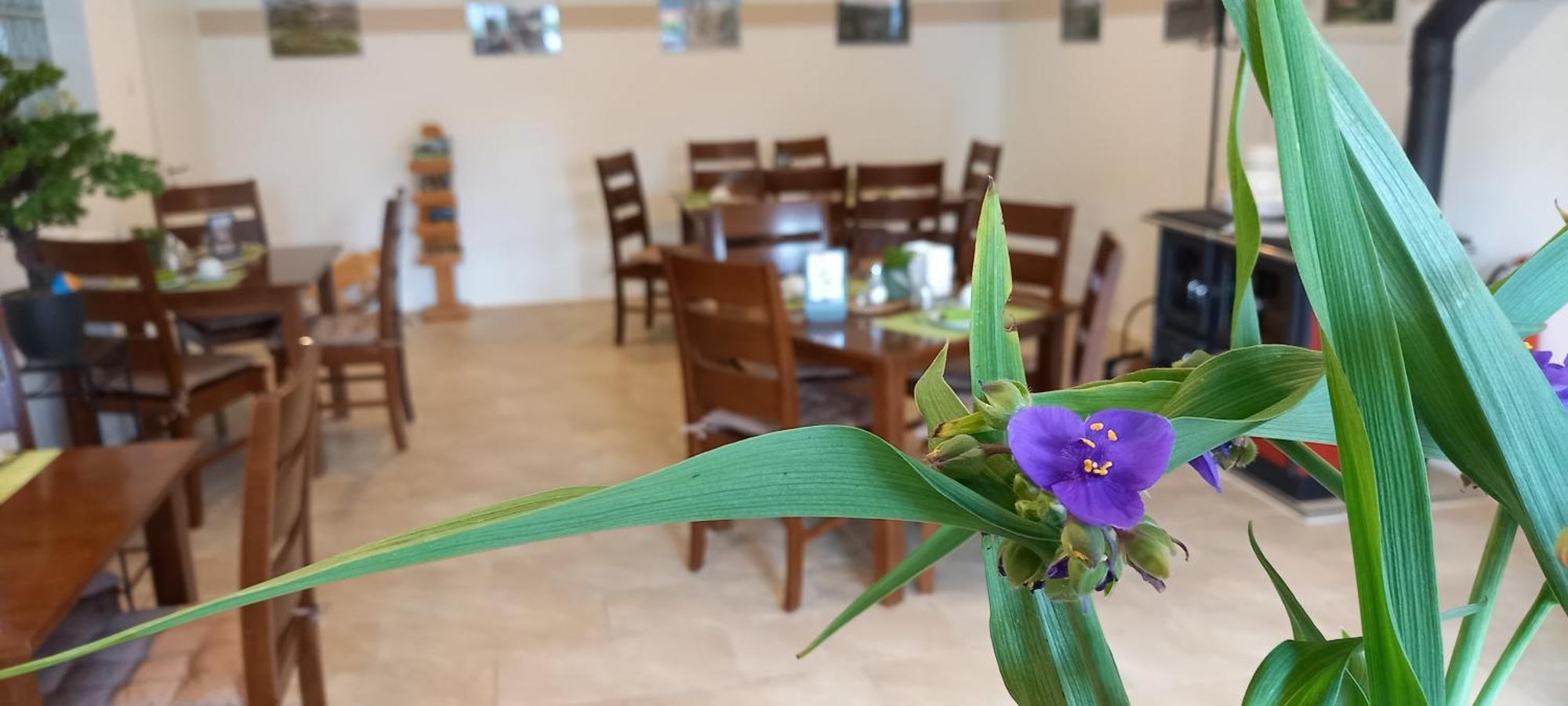 Gaestehaus Wohngut Eisenach Exteriér fotografie